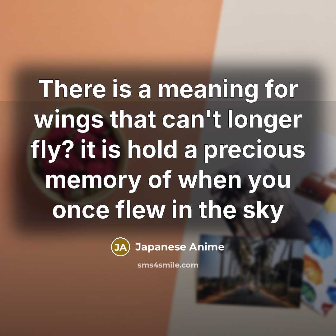 “There is a meaning for wings that can't longer fly? it is hold a precious memory of when you once flew in the sky” quote by Japanese Anime
