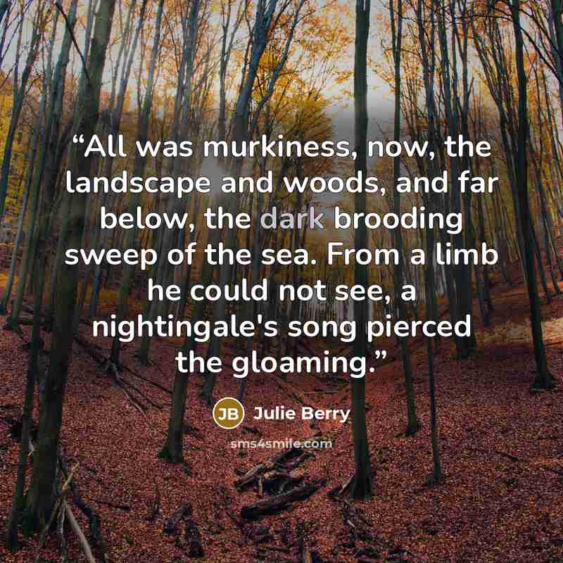 “All was murkiness, now, the landscape and woods, and far below, the dark brooding sweep of the sea. From a limb he could not see, a nightingale's song pierced the gloaming.” quote by Julie Berry