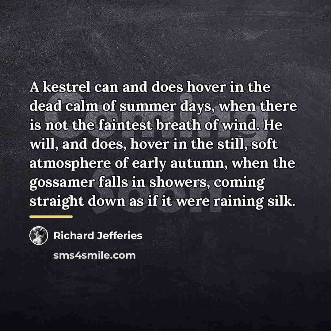 “A kestrel can and does hover in the dead calm…” quote by Richard Jefferies