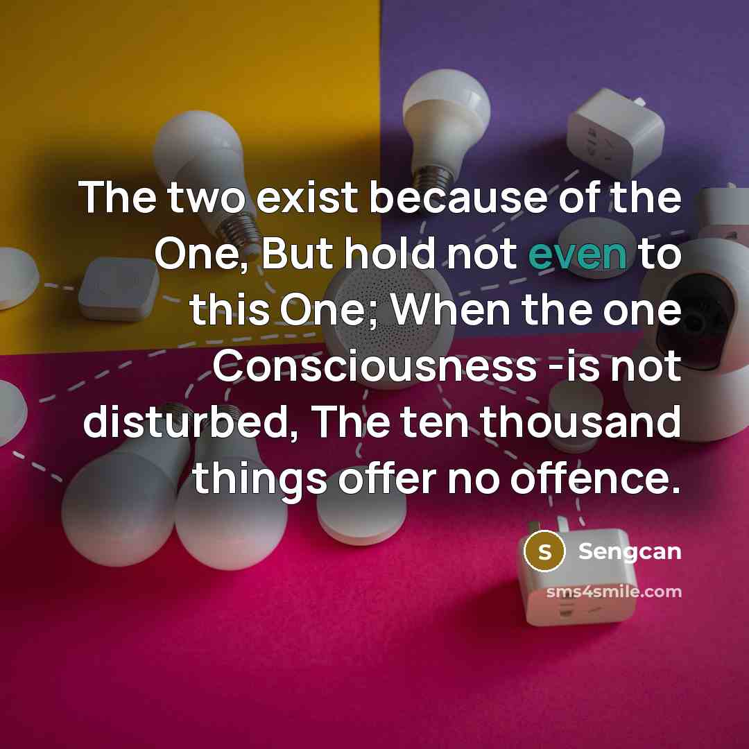 “The two exist because of the One, But hold not…” quote by Sengcan
