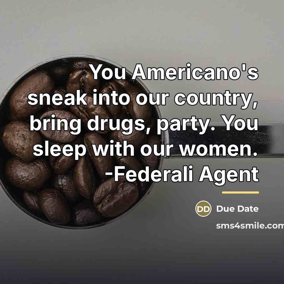 “You Americano's sneak into our country, bring drugs, party. You…” quote by Due Date