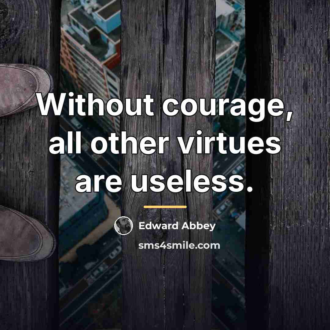 “Without courage, all other virtues are useless.…” quote by Edward Abbey