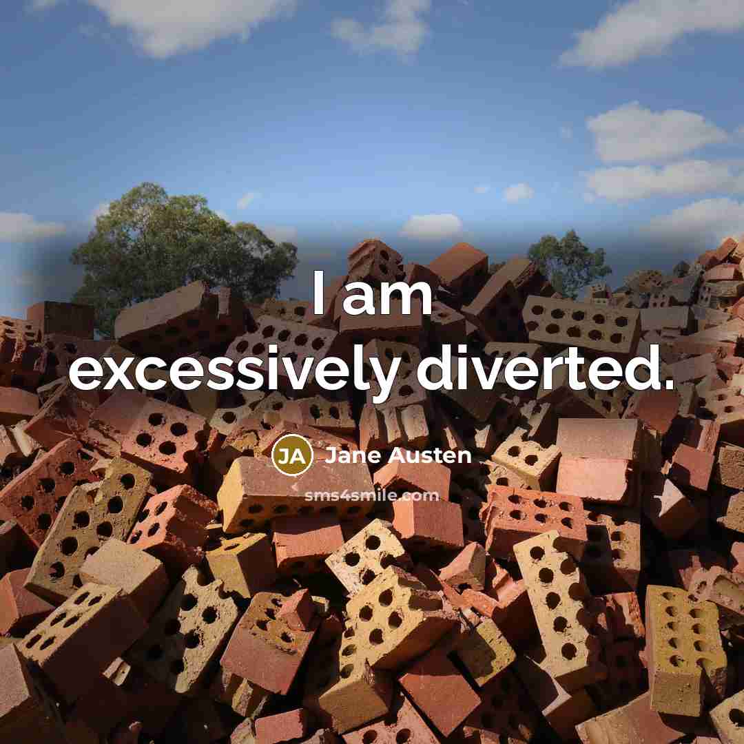 “I am excessively diverted.” quote by Jane Austen