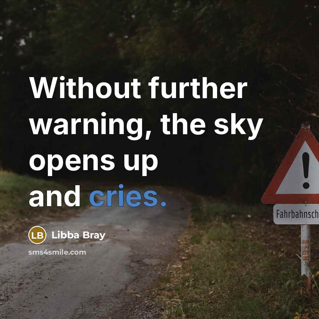 “Without further warning, the sky opens up and cries.” quote by Libba Bray