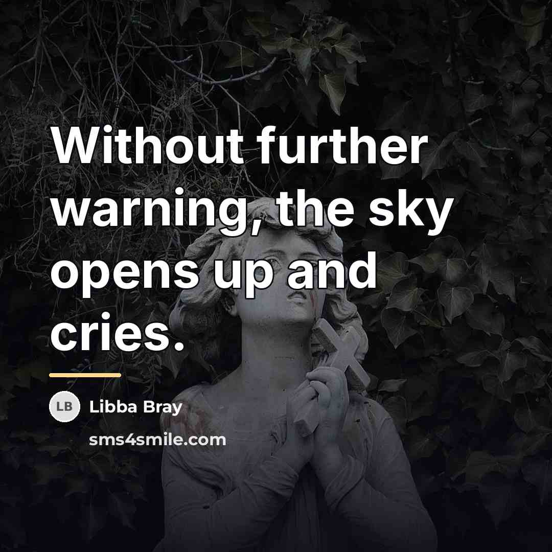 “Without further warning, the sky opens up and cries.…” quote by Libba Bray