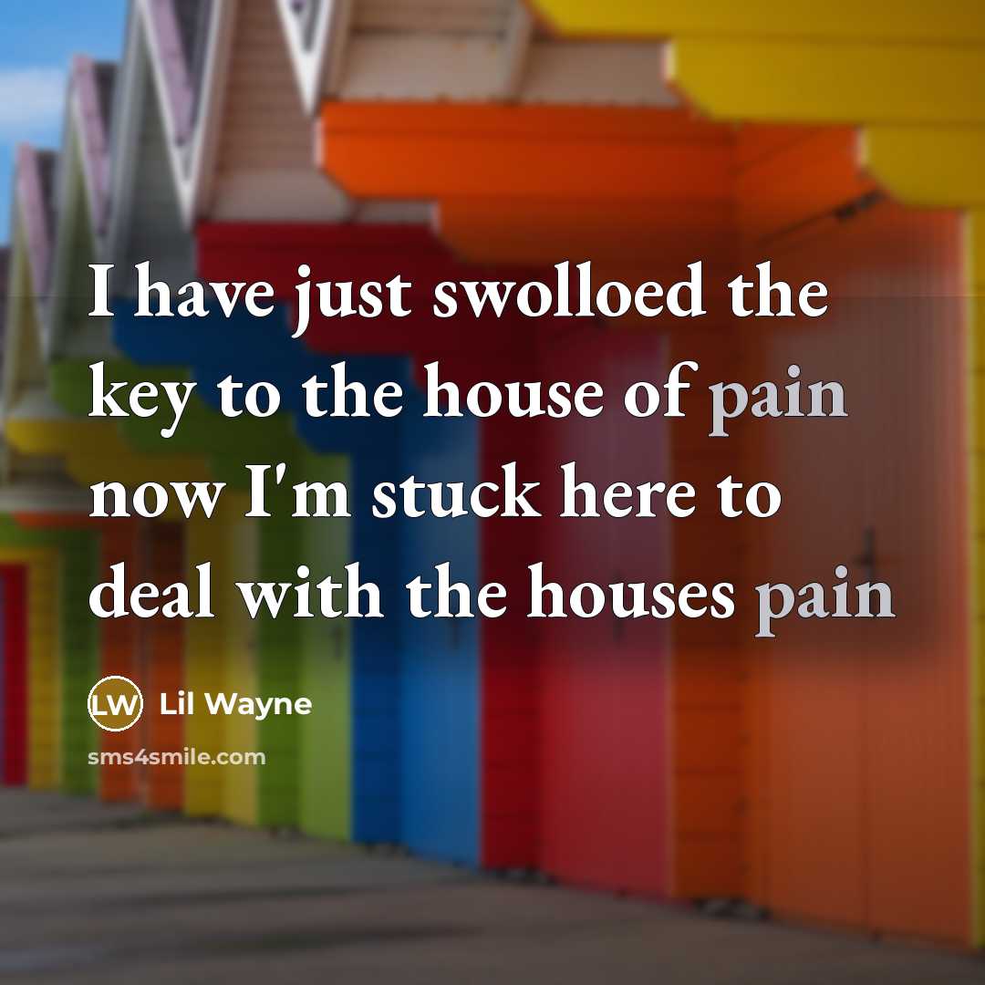 “I have just swolloed the key to the house of…” quote by Lil Wayne