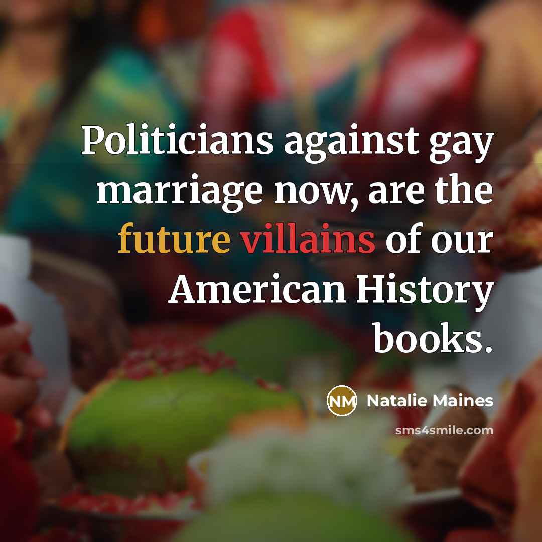 “Politicians against gay marriage now, are the future villains of…” quote by Natalie Maines