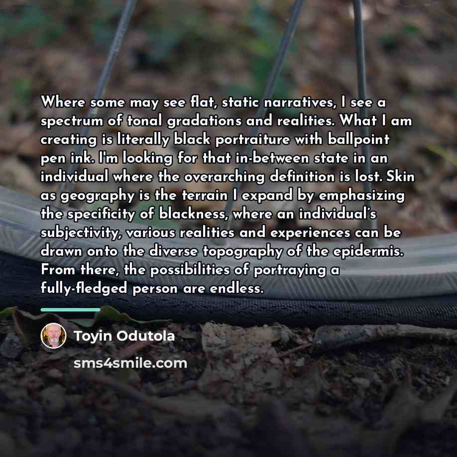 “Where some may see flat, static narratives, I see a…” quote by Toyin Odutola