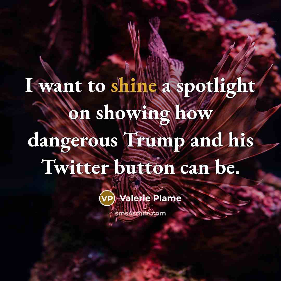 “I want to shine a spotlight on showing how dangerous…” quote by Valerie Plame
