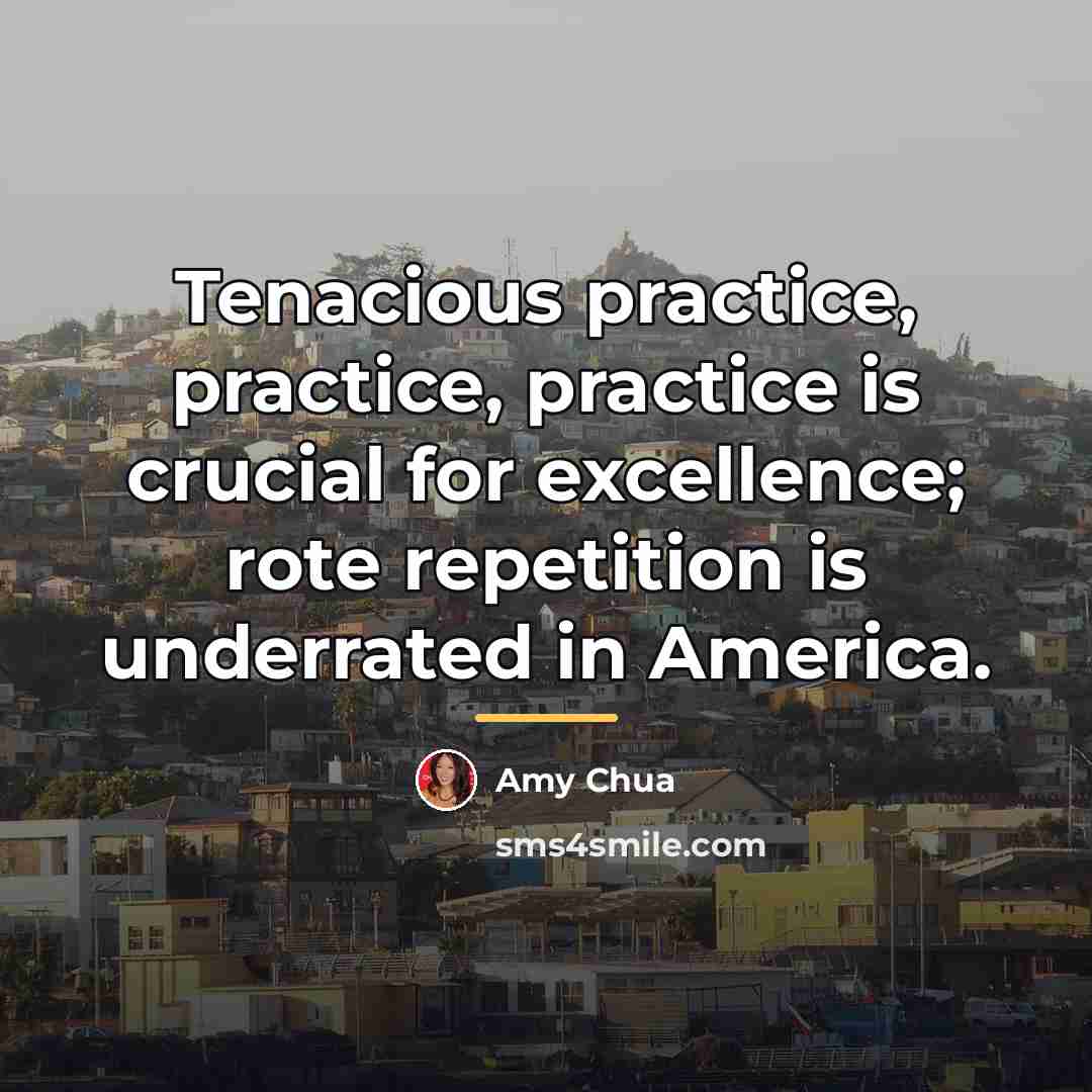 “Tenacious practice, practice, practice is crucial for excellence; rote repetition…” quote by Amy Chua