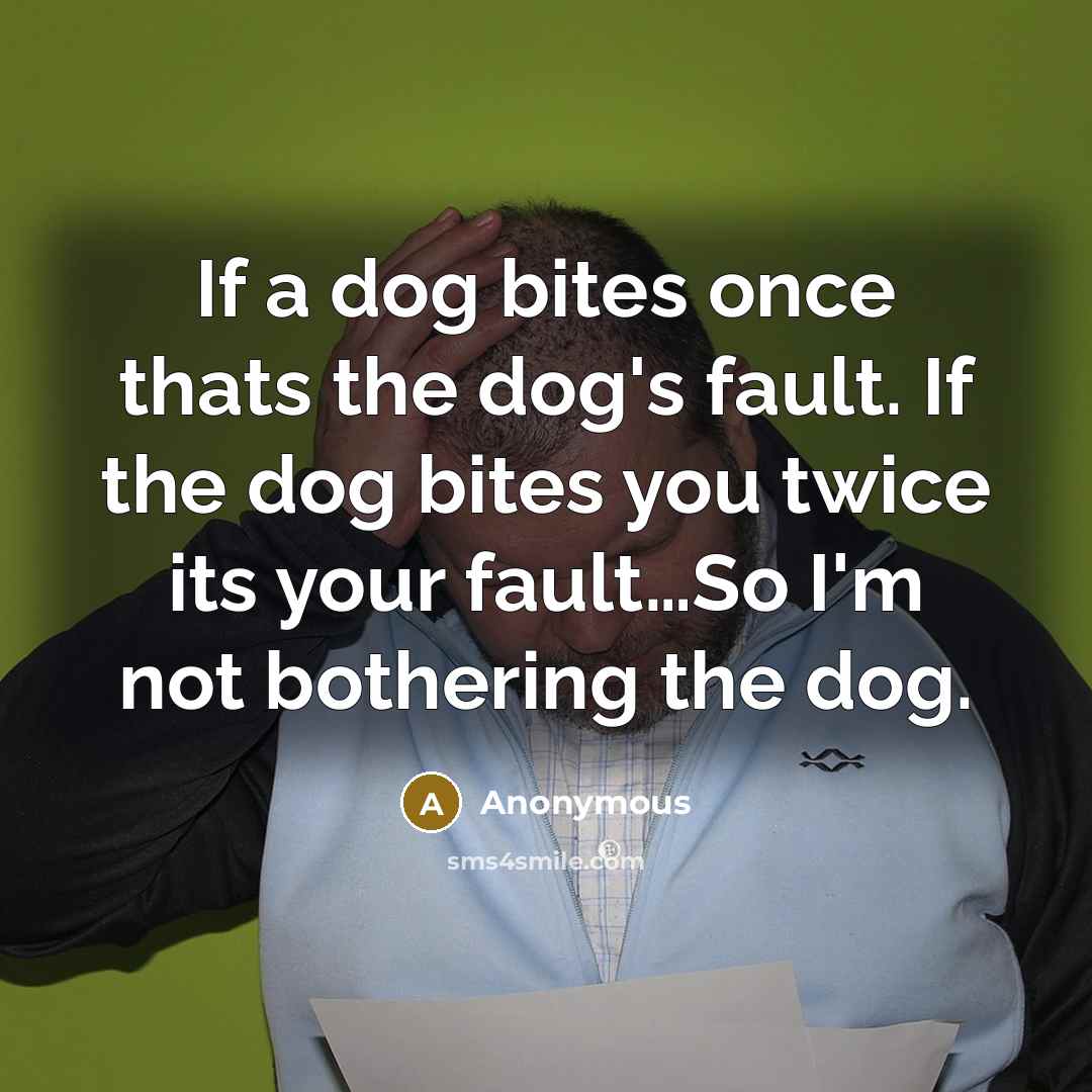 “If a dog bites once thats the dog's fault. If the dog bites you twice its your fault…So I'm not bothering the dog.” quote by Anonymous