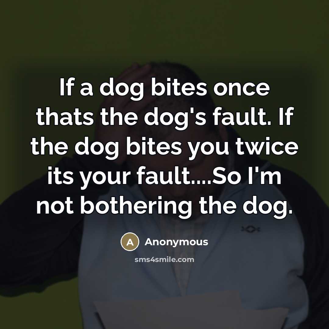 “If a dog bites once thats the dog's fault. If…” quote by Anonymous