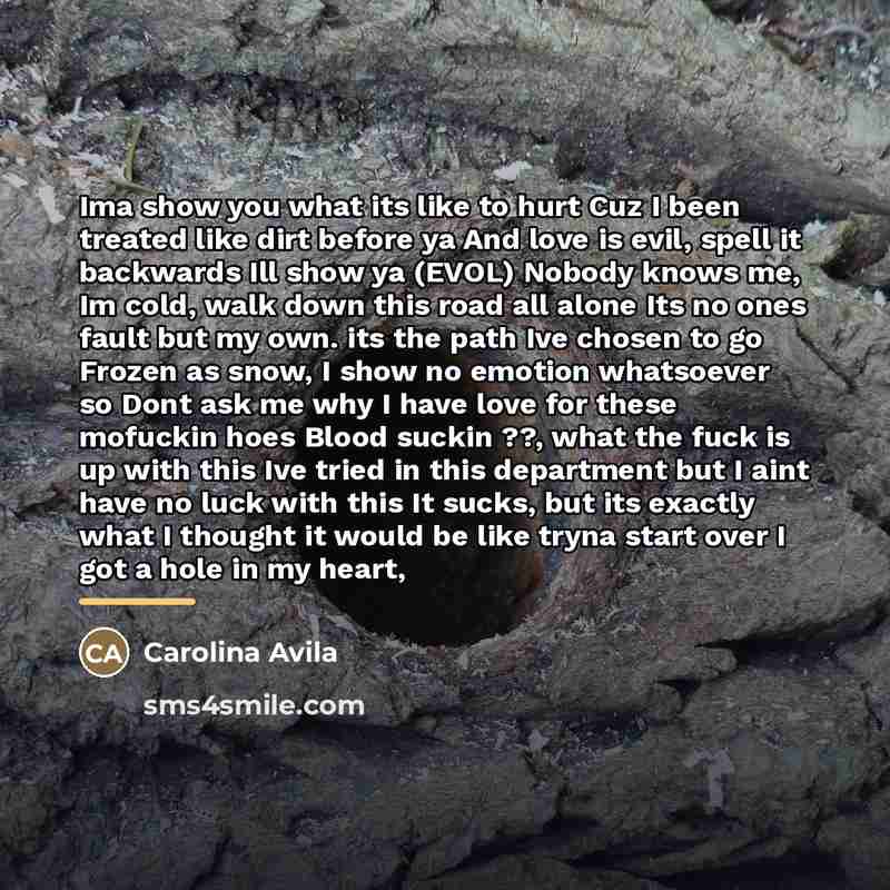 “Ima show you what its like to hurt Cuz I…” quote by Carolina Avila