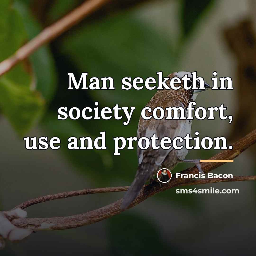 “Man seeketh in society comfort, use and protection.…” quote by Francis Bacon