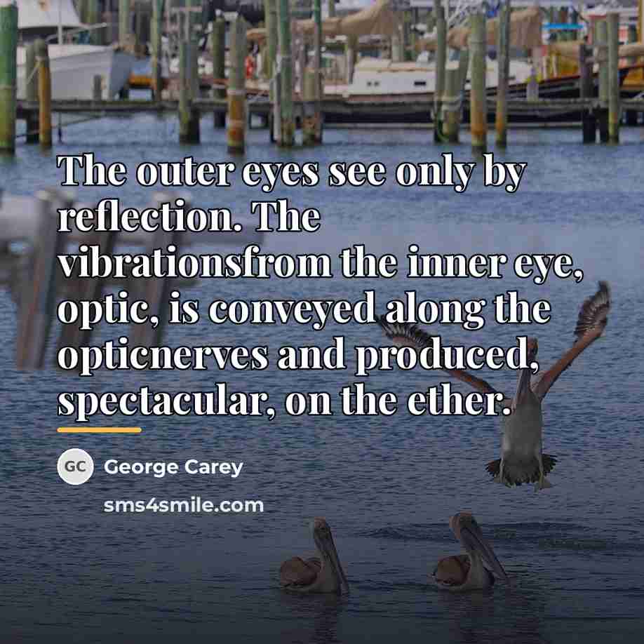 “The outer eyes see only by reflection. The vibrationsfrom the…” quote by George Carey