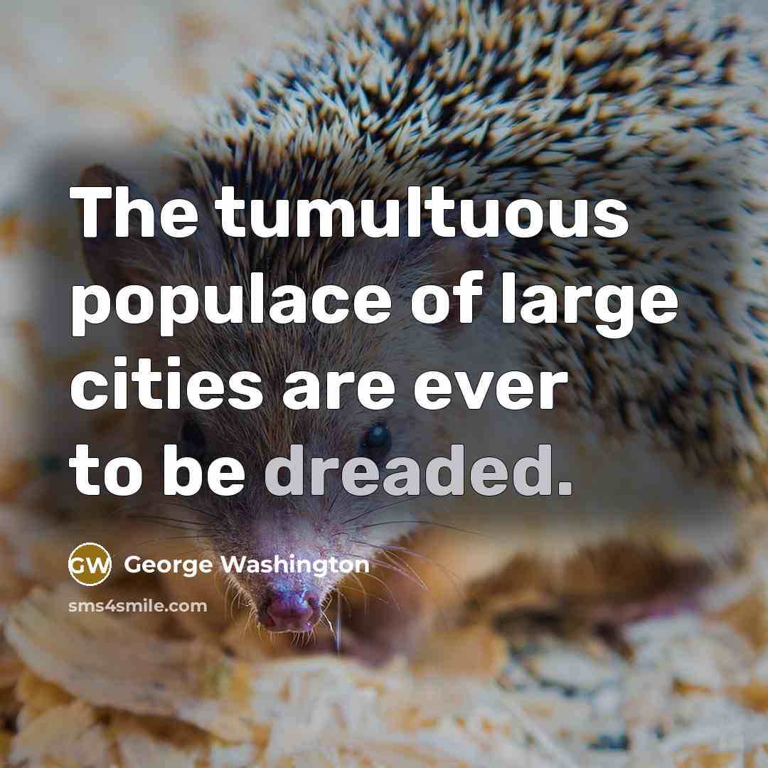 “The tumultuous populace of large cities are ever to be…” quote by George Washington