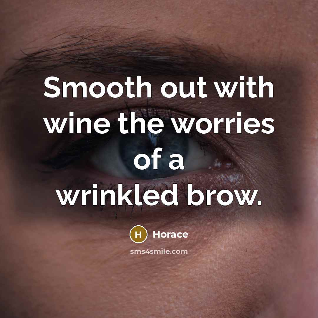 “Smooth out with wine the worries of a wrinkled brow.…” quote by Horace