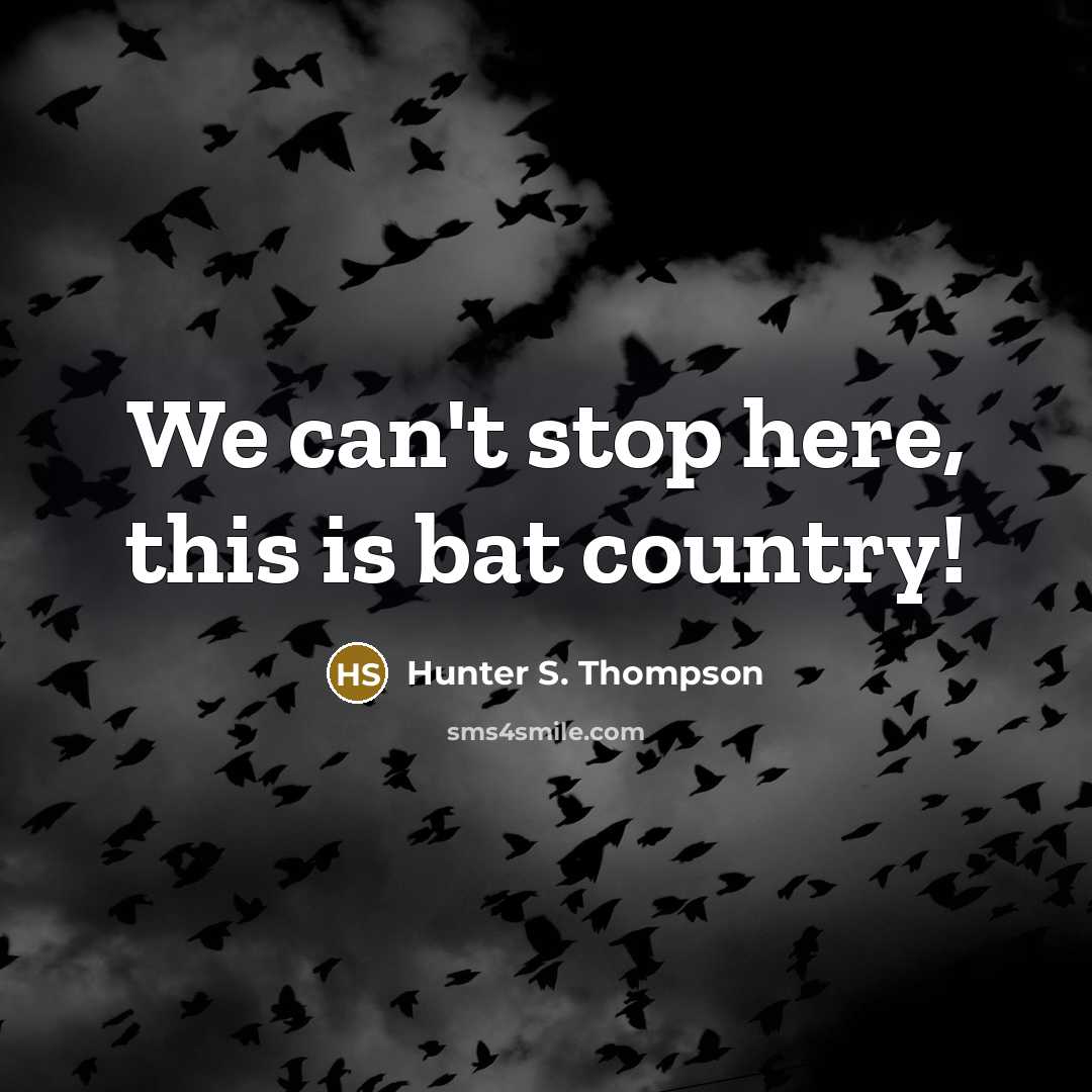 “We can't stop here, this is bat country!…” quote by Hunter S. Thompson