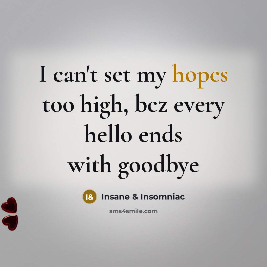 “I can't set my hopes too high, bcz every hello…” quote by Insane & Insomniac