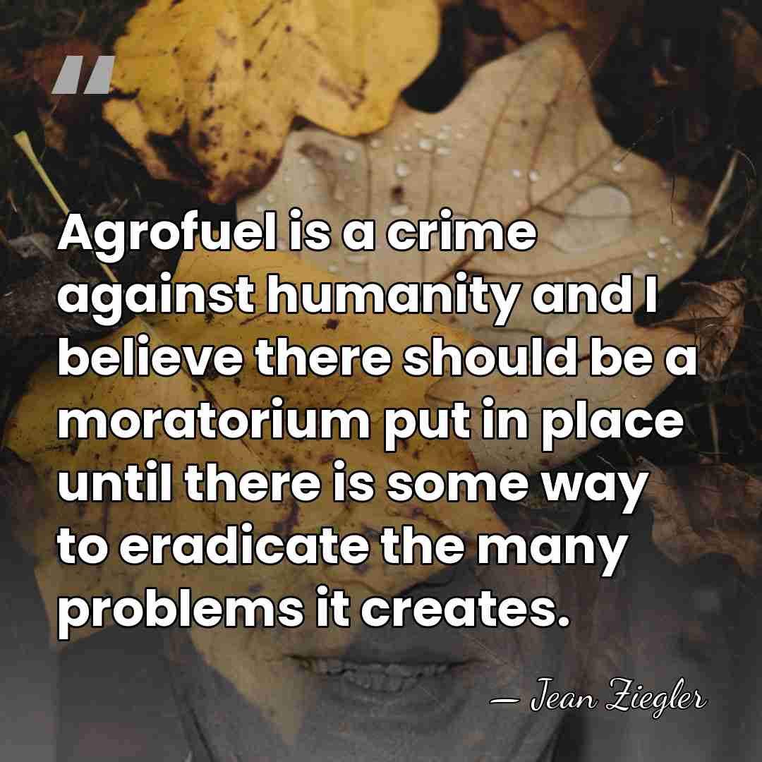 Agrofuel is a crime against humanity and I believe there should be&hellip; - Jean Ziegler