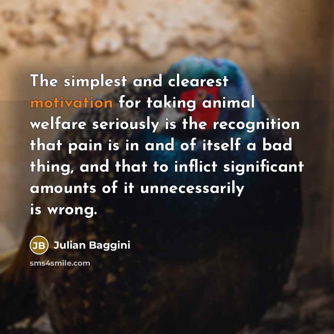 “The simplest and clearest motivation for taking animal welfare seriously…” quote by Julian Baggini