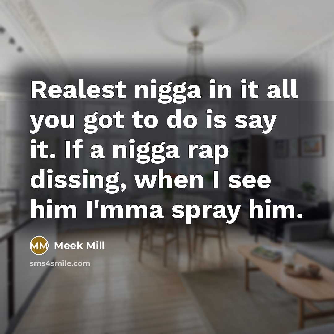 “Realest nigga in it all you got to do is say it. If a nigga rap dissing, when I see him I'mma spray him.” quote by Meek Mill