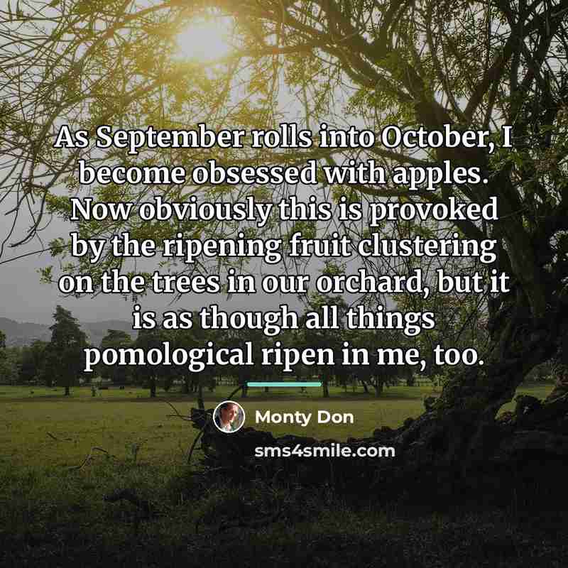 “As September rolls into October, I become obsessed with apples.…” quote by Monty Don
