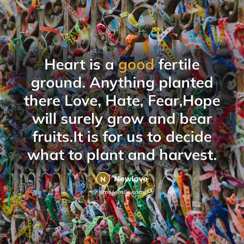 “Heart is a good fertile ground. Anything planted there Love,…” quote by Newlove