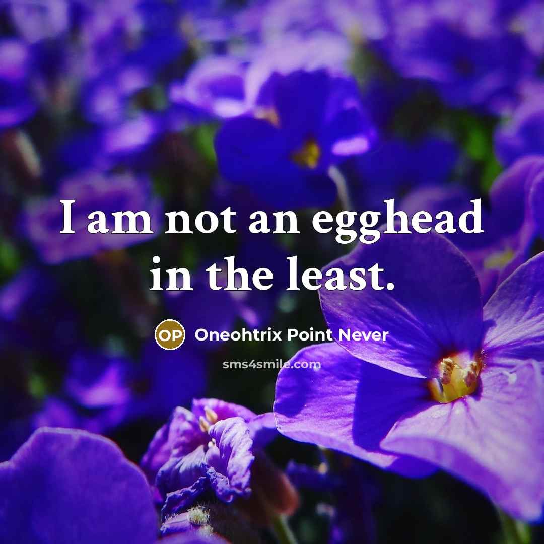“I am not an egghead in the least.…” quote by Oneohtrix Point Never