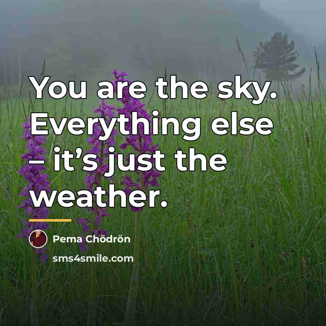 “You are the sky. Everything else – it’s just the…” quote by Pema Chodron