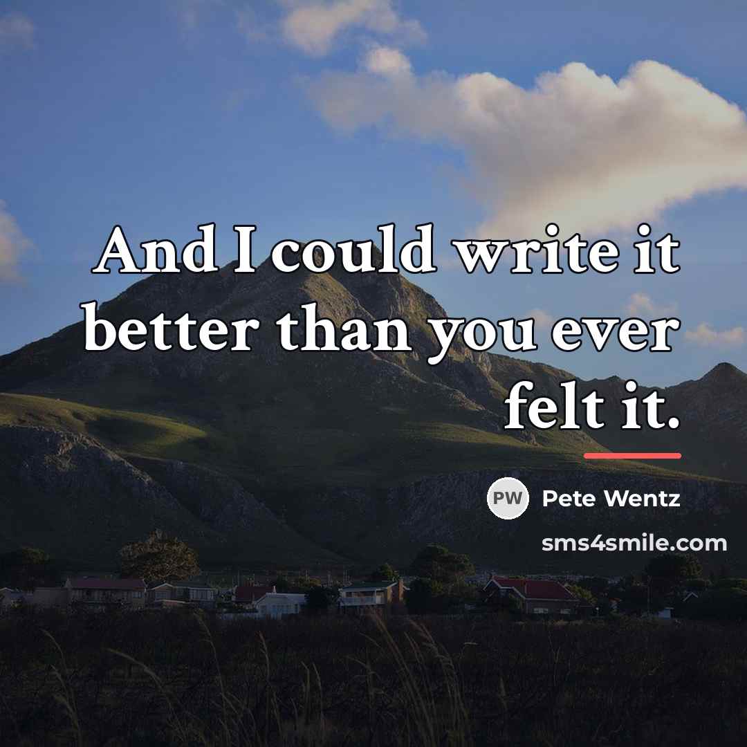“And I could write it better than you ever felt…” quote by Pete Wentz