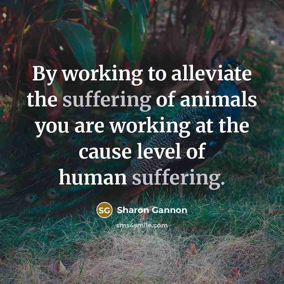 “By working to alleviate the suffering of animals you are…” quote by Sharon Gannon