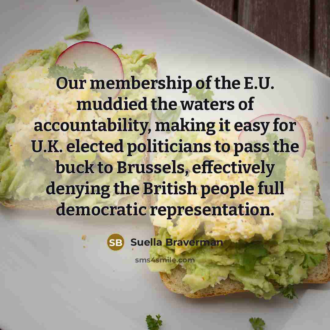 “Our membership of the E.U. muddied the waters of accountability,…” quote by Suella Braverman