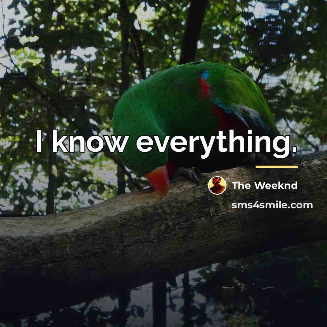 “I know everything.…” quote by The Weeknd