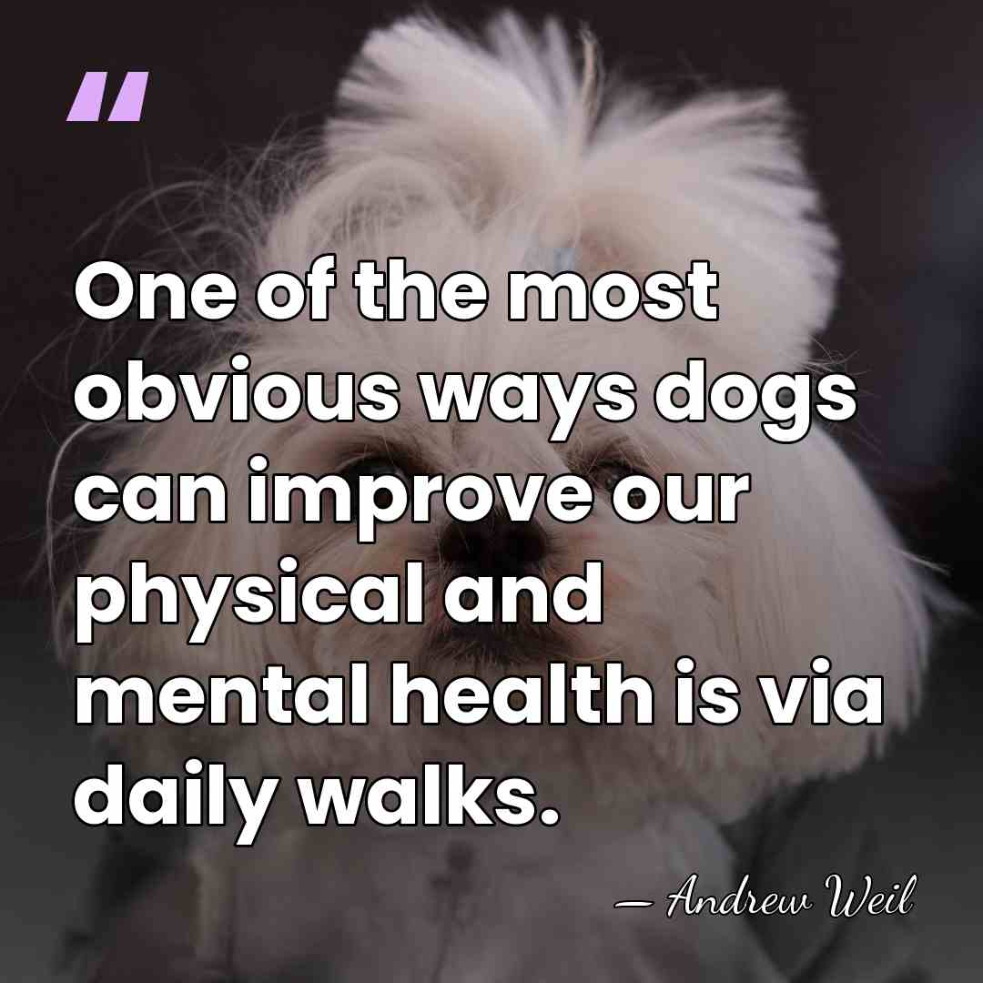 One of the most obvious ways dogs can improve our physical and&hellip; - Andrew Weil