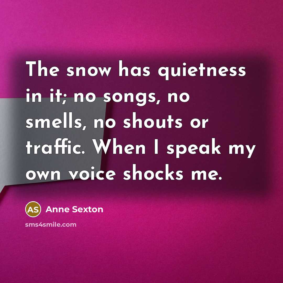 “The snow has quietness in it; no songs, no smells,…” quote by Anne Sexton