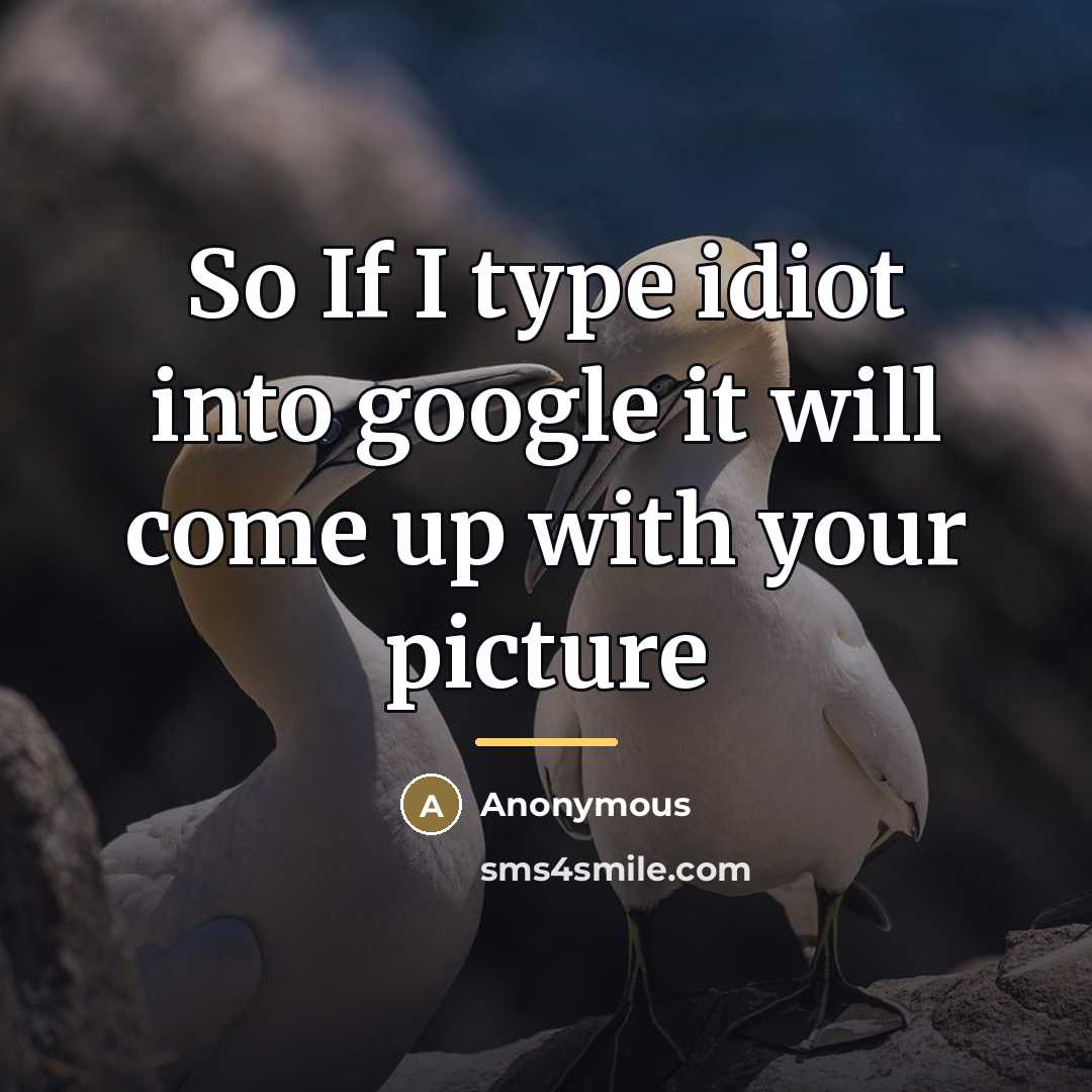 “So If I type idiot into google it will come…” quote by Anonymous