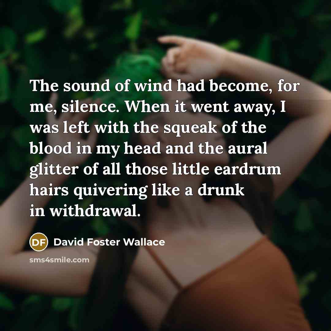 “The sound of wind had become, for me, silence. When…” quote by David Foster Wallace
