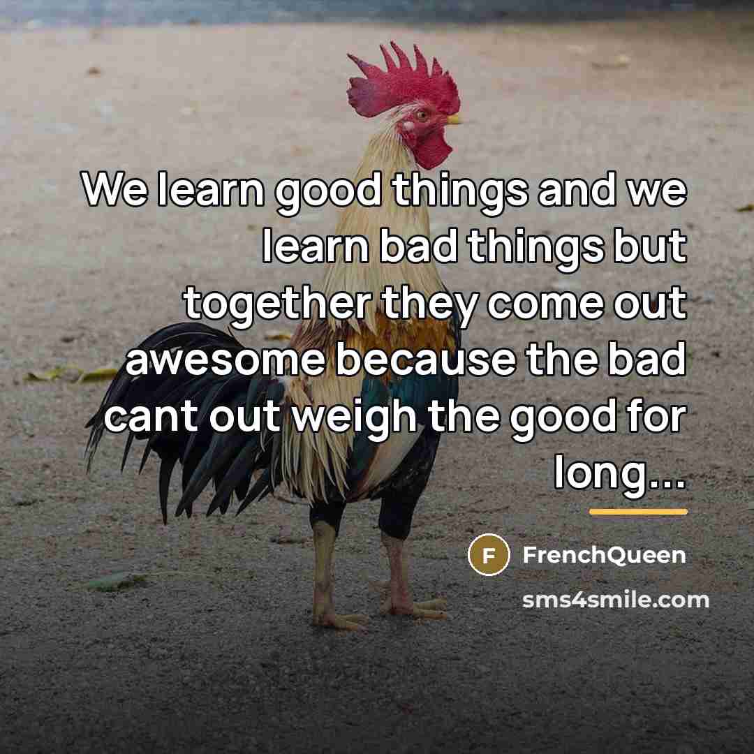 “We learn good things and we learn bad things but…” quote by Frenchqueen