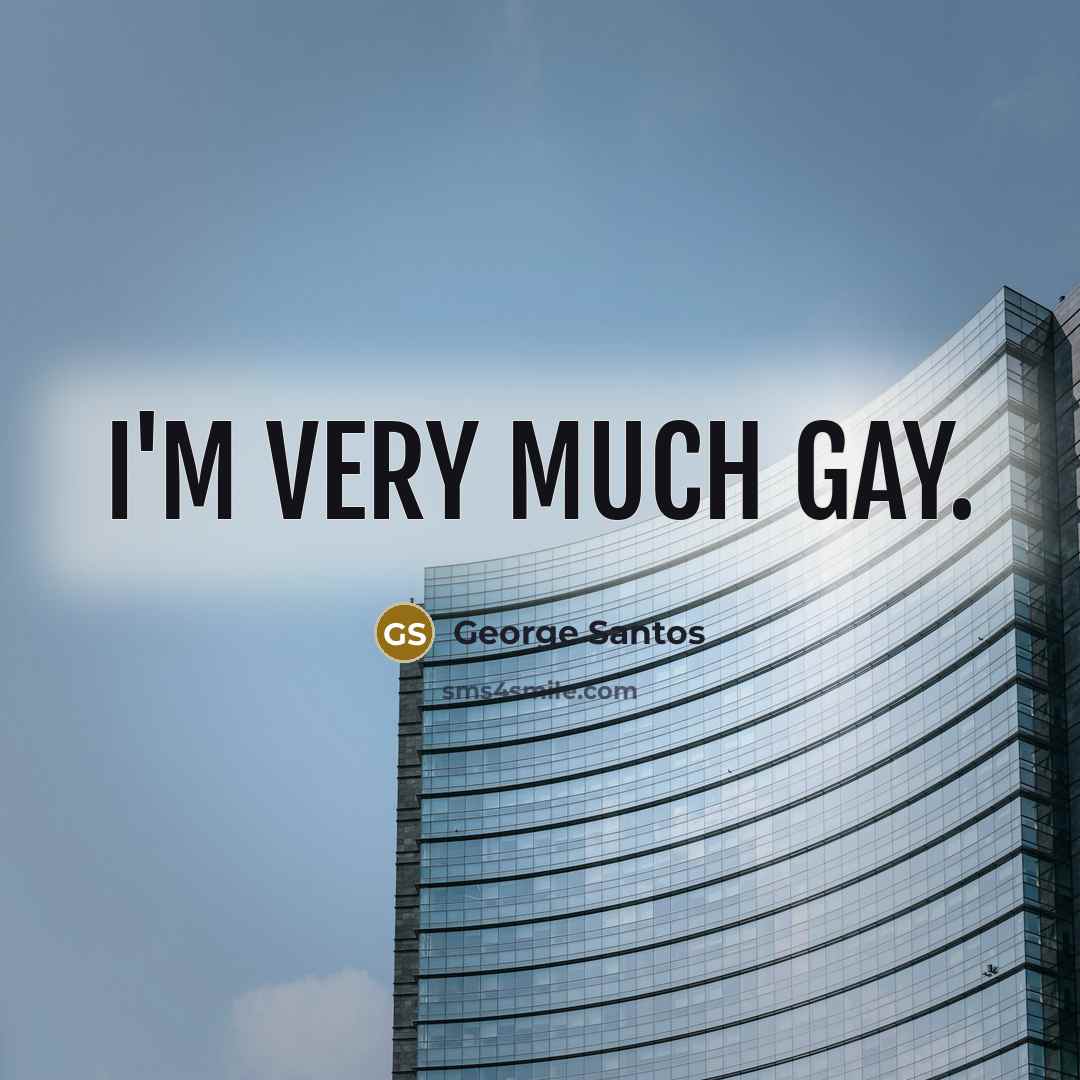 “I'm very much gay.…” quote by George Santos