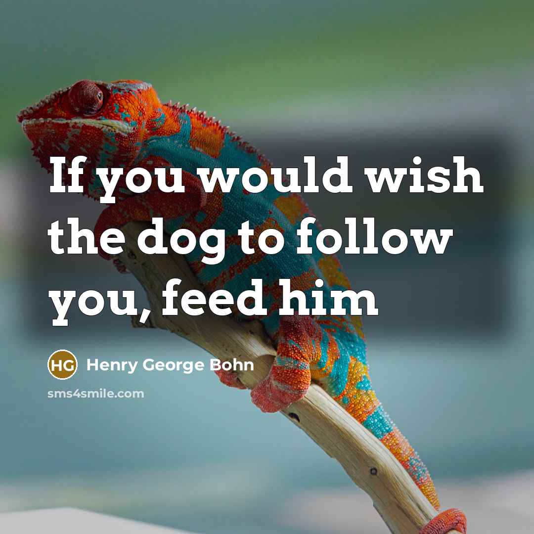 “If you would wish the dog to follow you, feed him” quote by Henry George Bohn