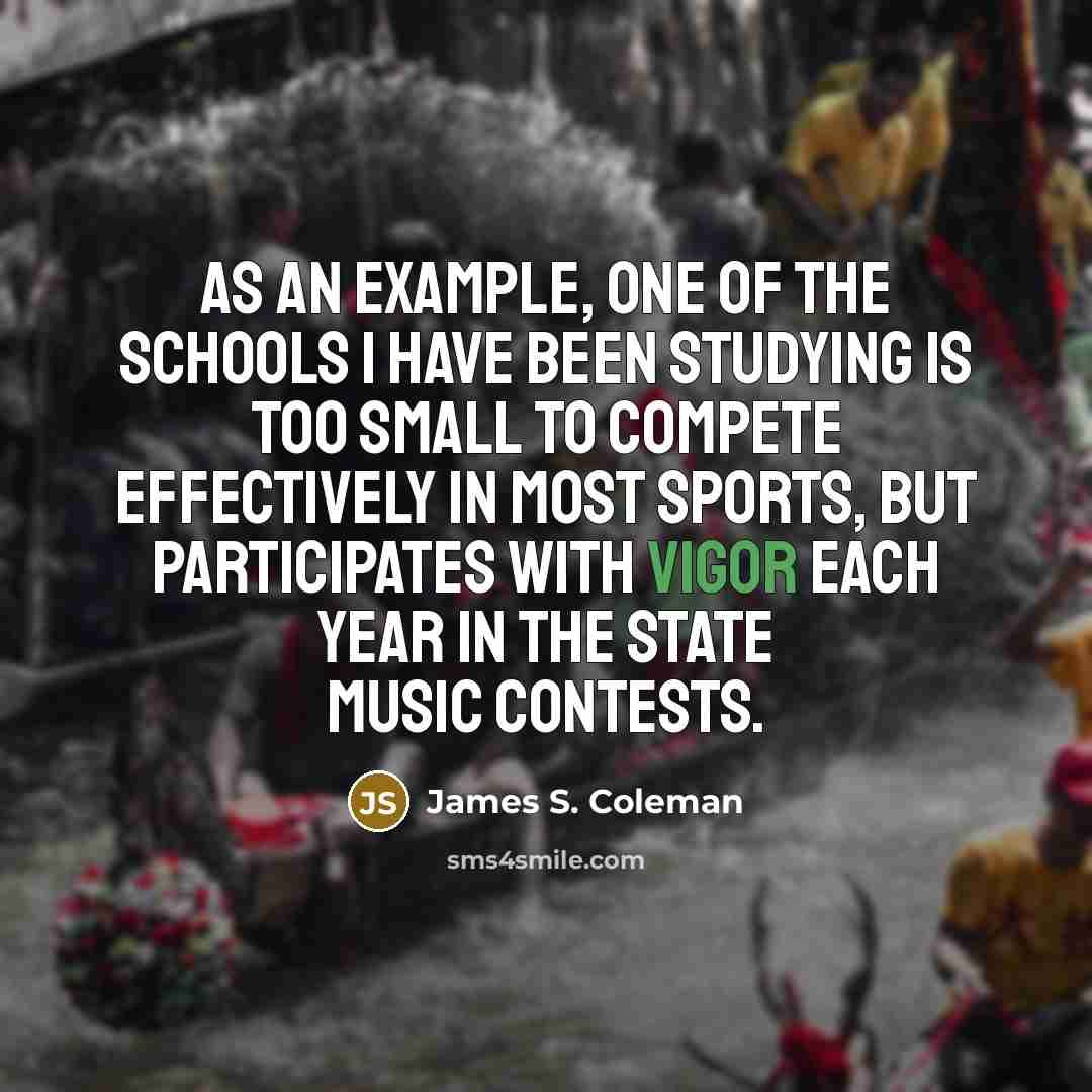 “As an example, one of the schools I have been…” quote by James S. Coleman