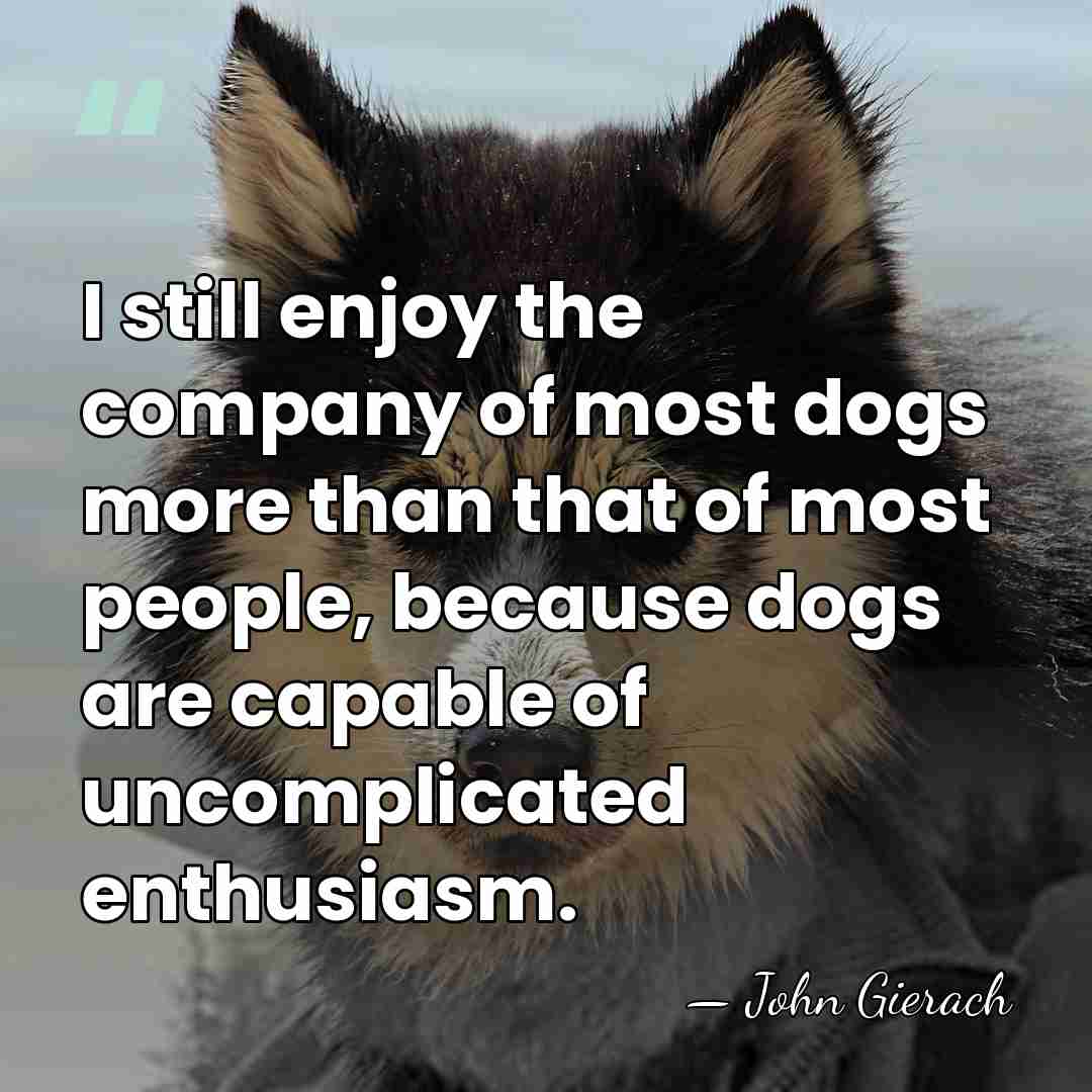 I still enjoy the company of most dogs more than that of&hellip; - John Gierach