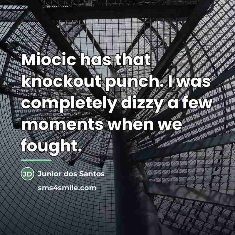 “Miocic has that knockout punch. I was completely dizzy a…” quote by Junior dos Santos