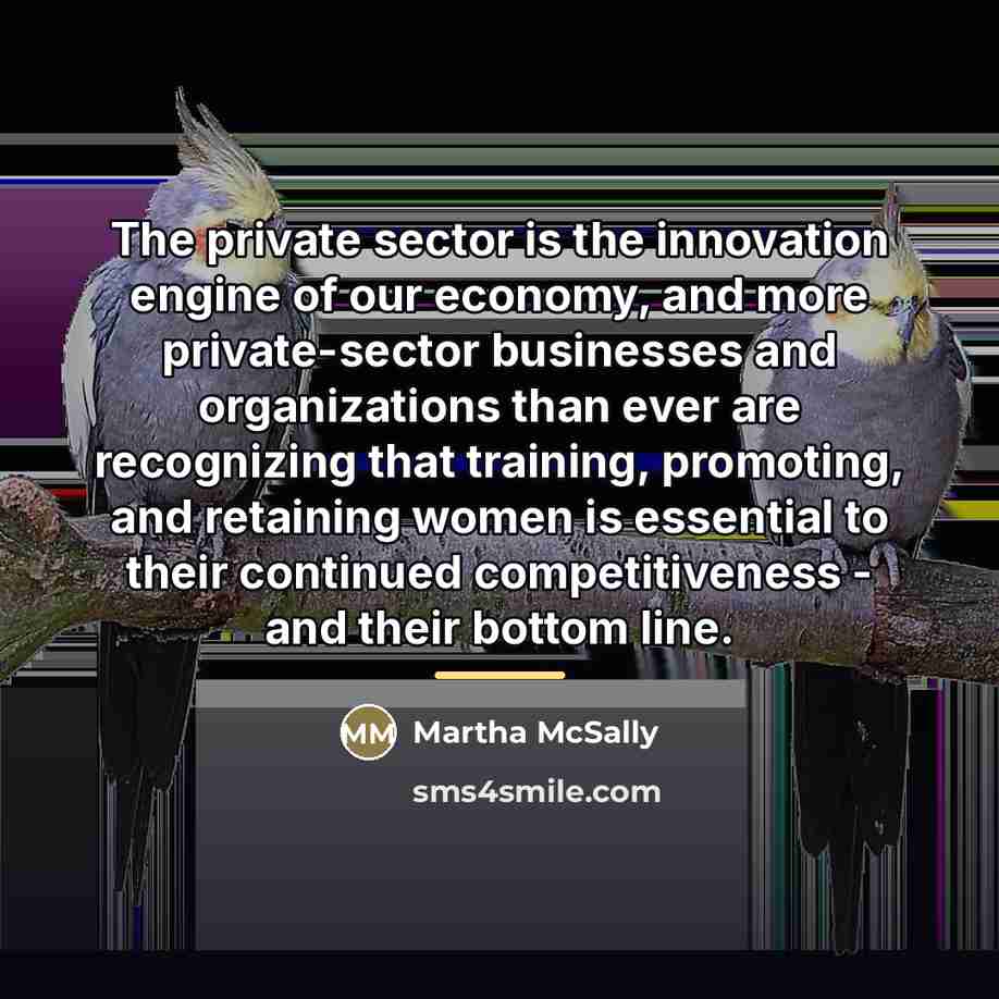 “The private sector is the innovation engine of our economy,…” quote by Martha McSally
