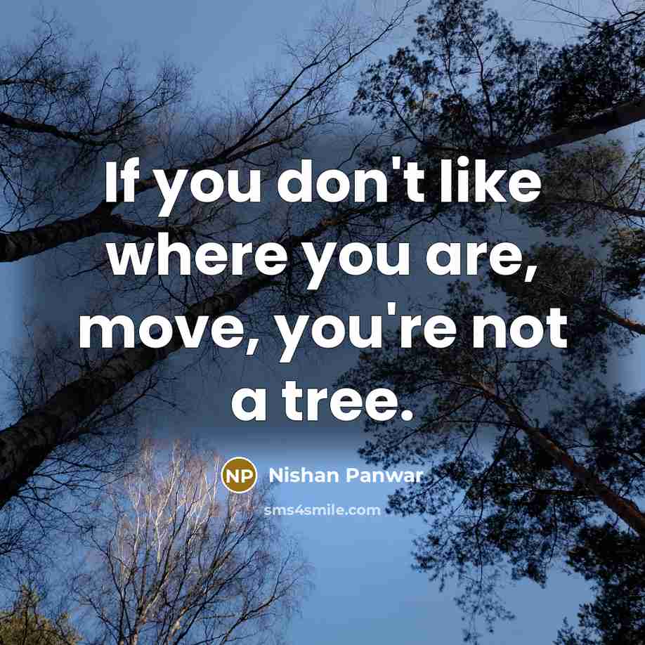 “If you don't like where you are, move, you're not…” quote by Nishan Panwar