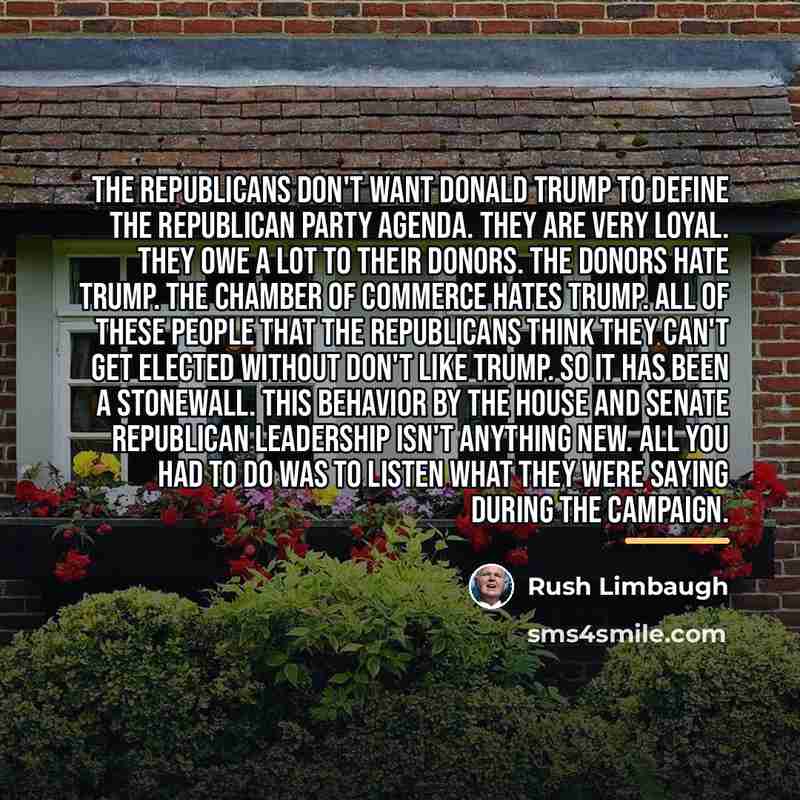 “The Republicans don't want Donald Trump to define the Republican…” quote by Rush Limbaugh