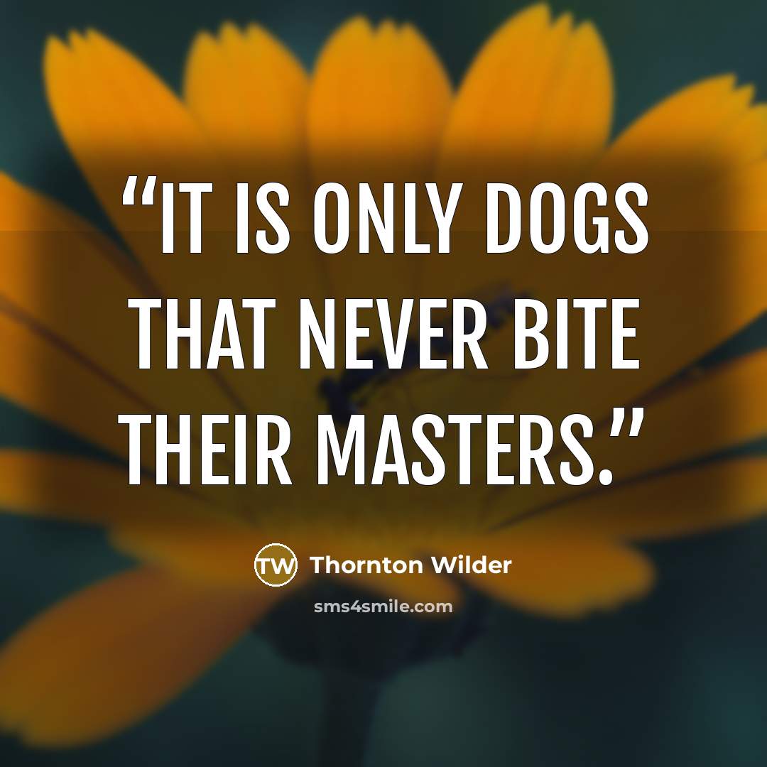 “It is only dogs that never bite their masters.” quote by Thornton Wilder