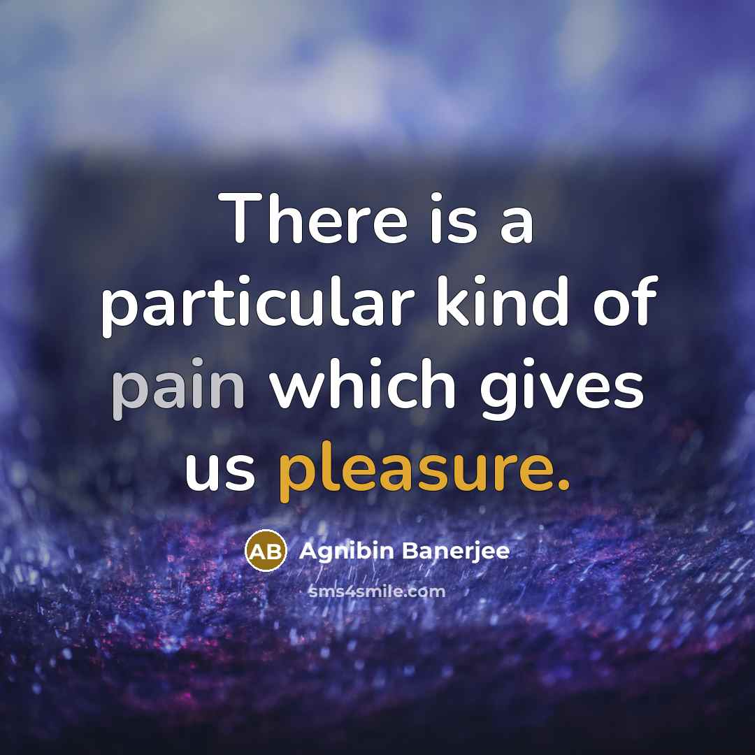 “There is a particular kind of pain which gives us pleasure.” quote by Agnibin Banerjee