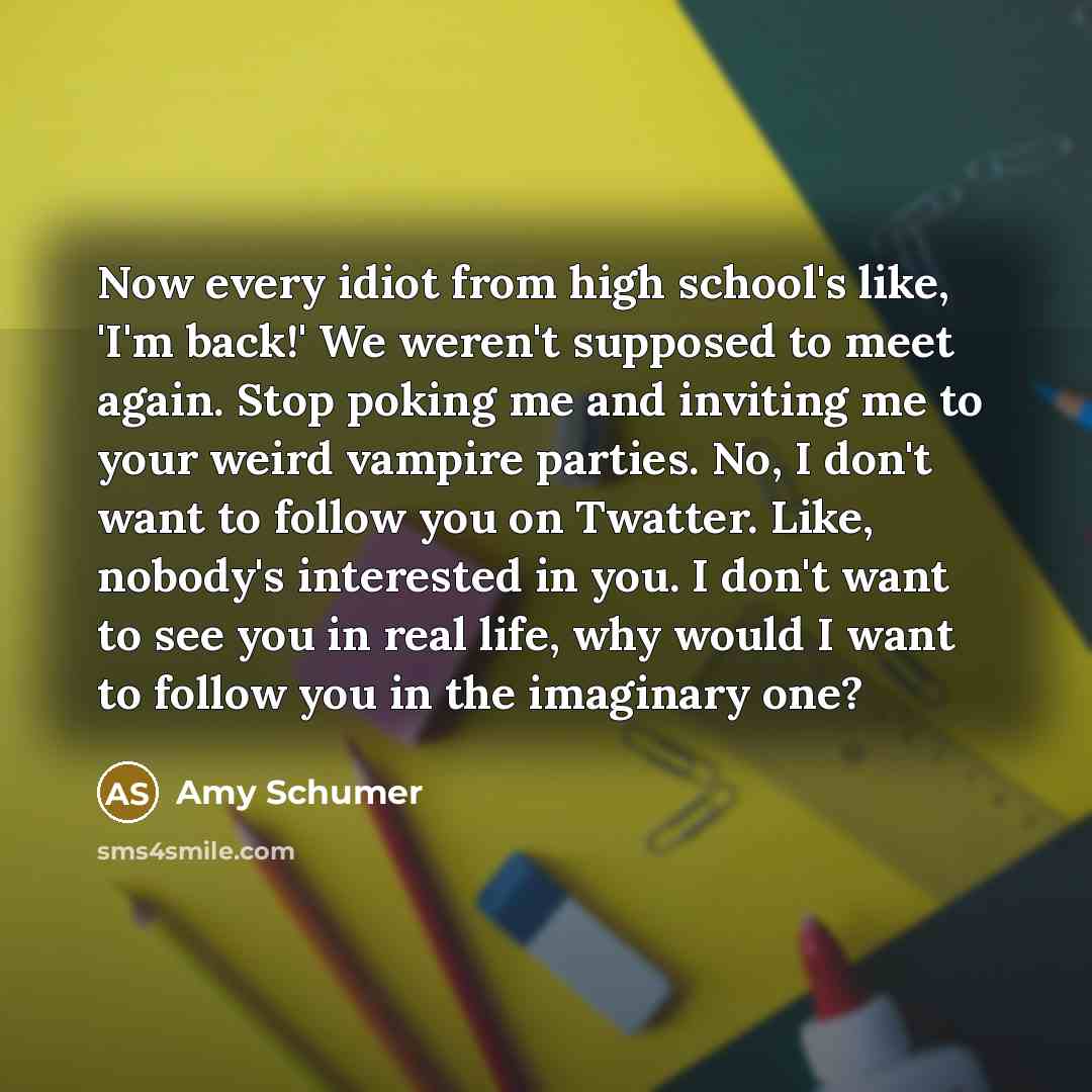 “Now every idiot from high school's like, 'I'm back!' We…” quote by Amy Schumer